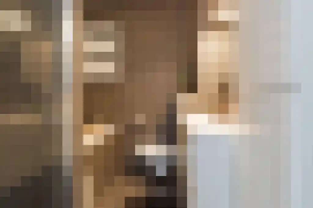 Witte Ring 38 Assendelft thumbnail 23