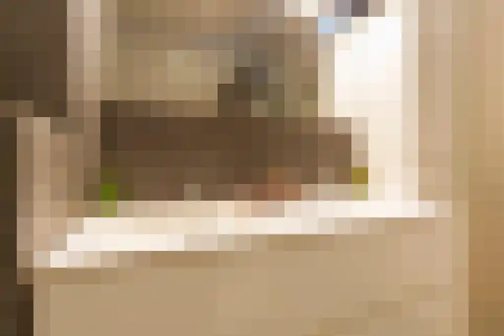 Witte Ring 38 Assendelft thumbnail 24