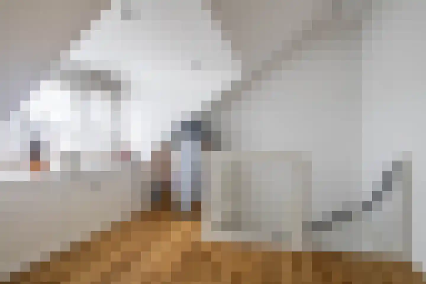 Witte Ring 38 Assendelft thumbnail 27