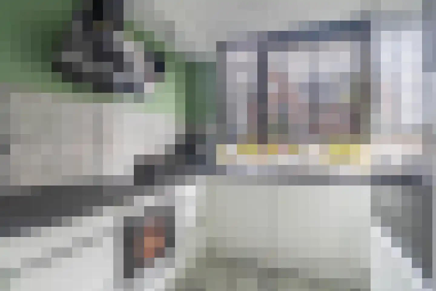 Witte Ring 38 Assendelft thumbnail 4