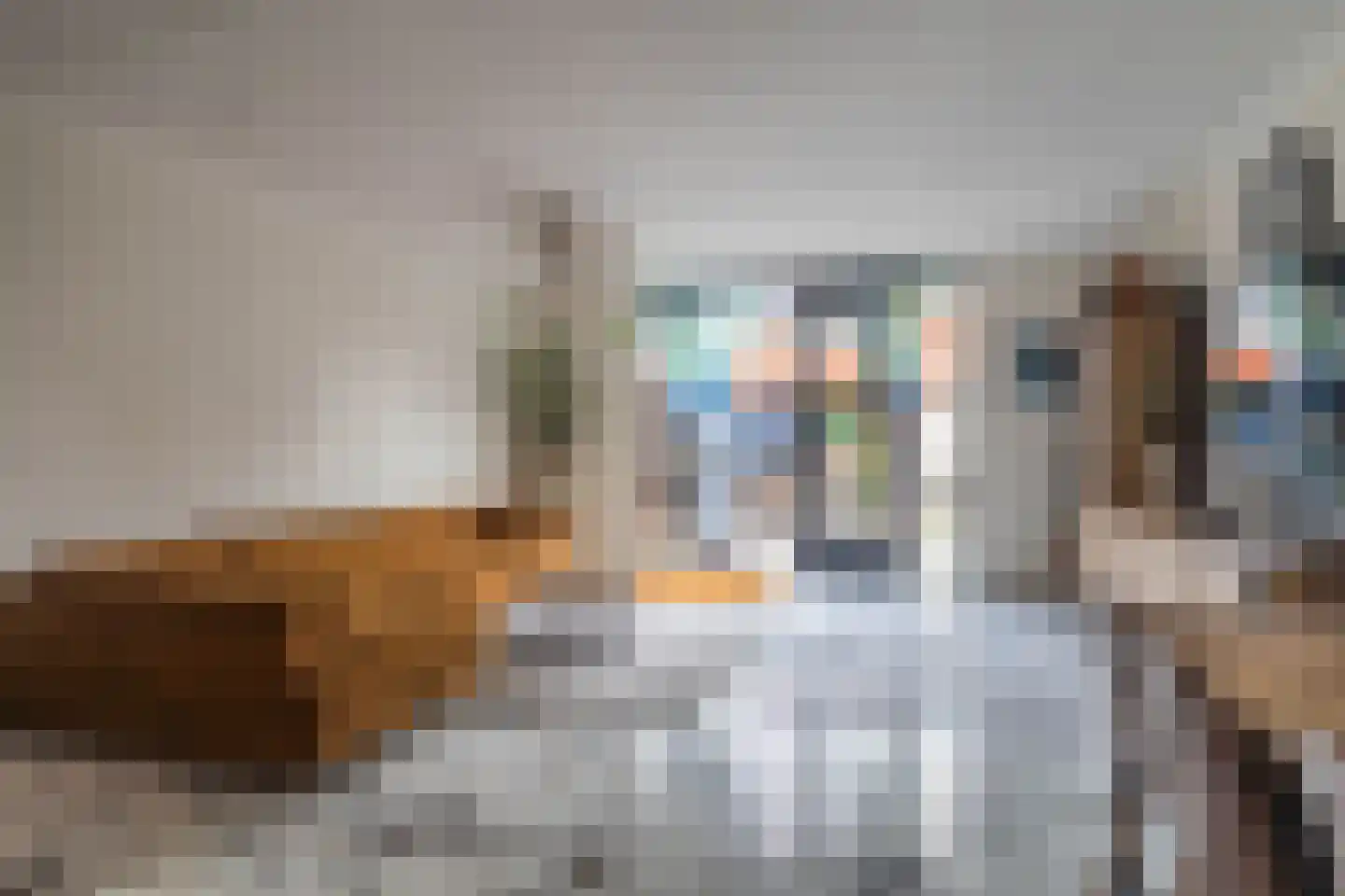 Witte Ring 38 Assendelft thumbnail 5