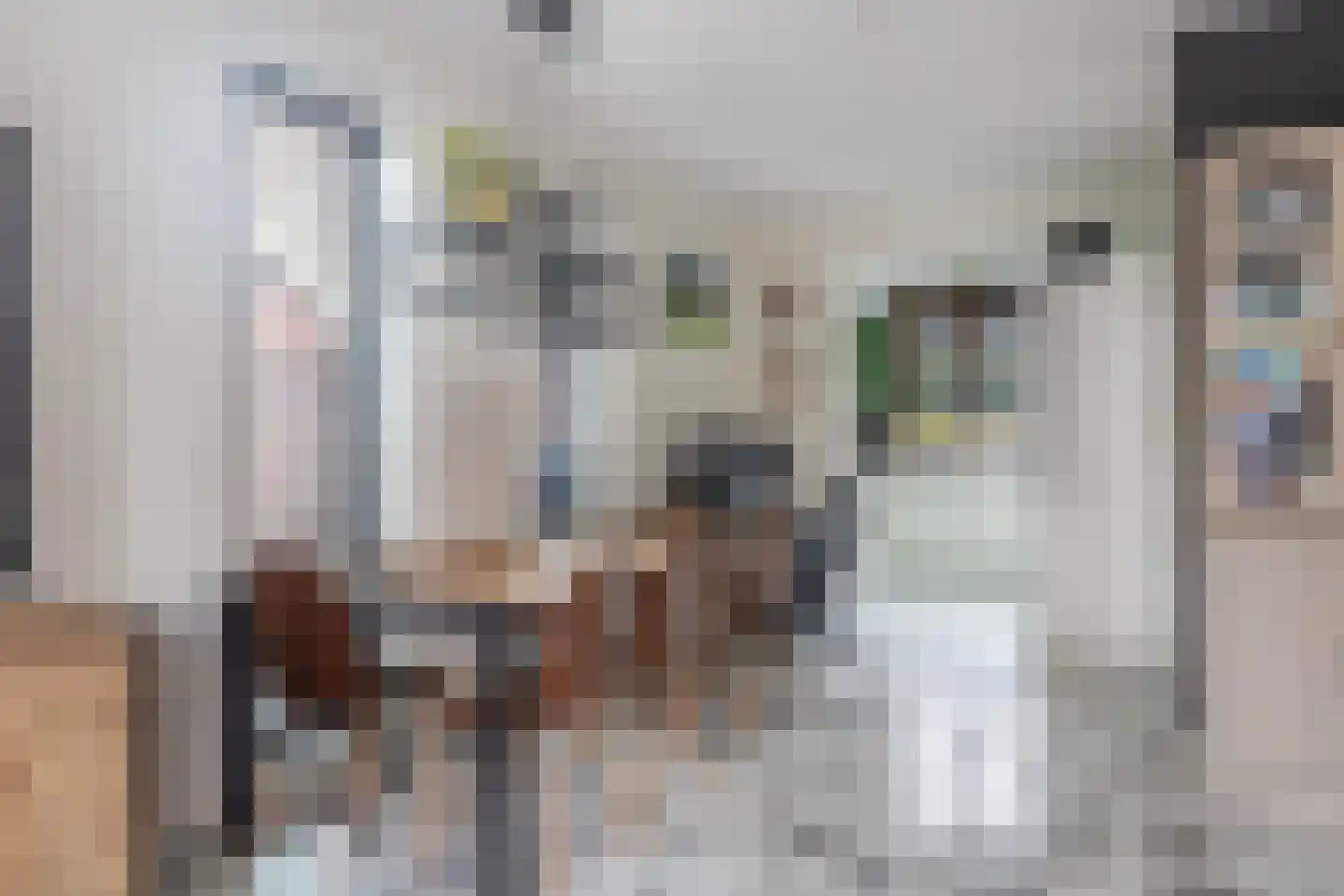 Witte Ring 38 Assendelft thumbnail 8