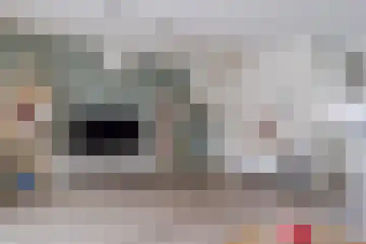 Witte Ring 44 Assendelft thumbnail 12