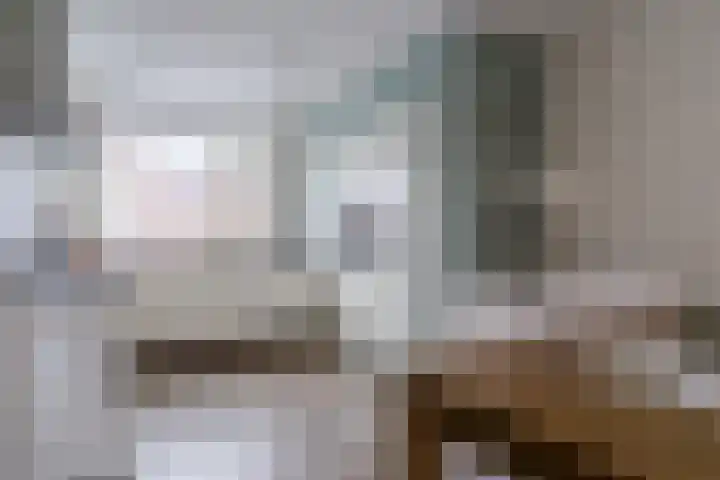 Witte Ring 44 Assendelft thumbnail 13