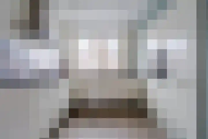 Witte Ring 44 Assendelft thumbnail 15