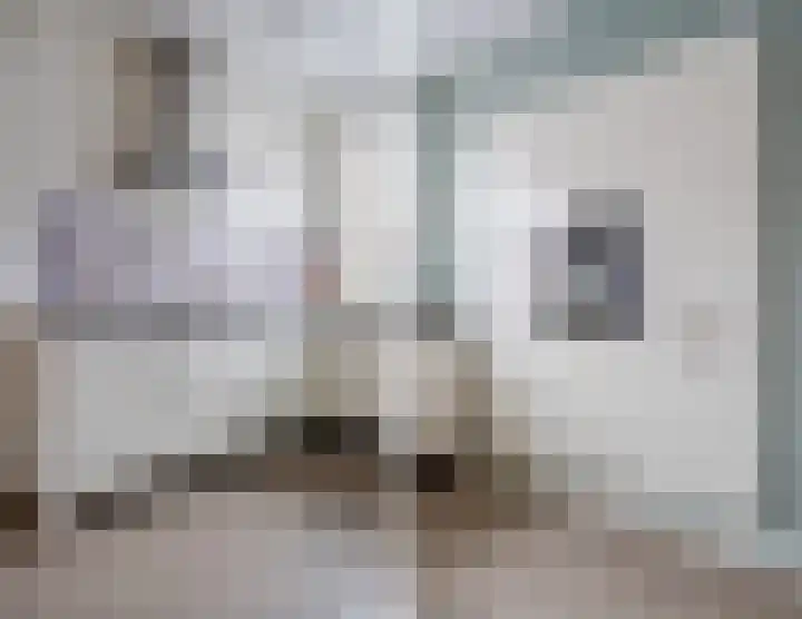 Witte Ring 44 Assendelft thumbnail 16