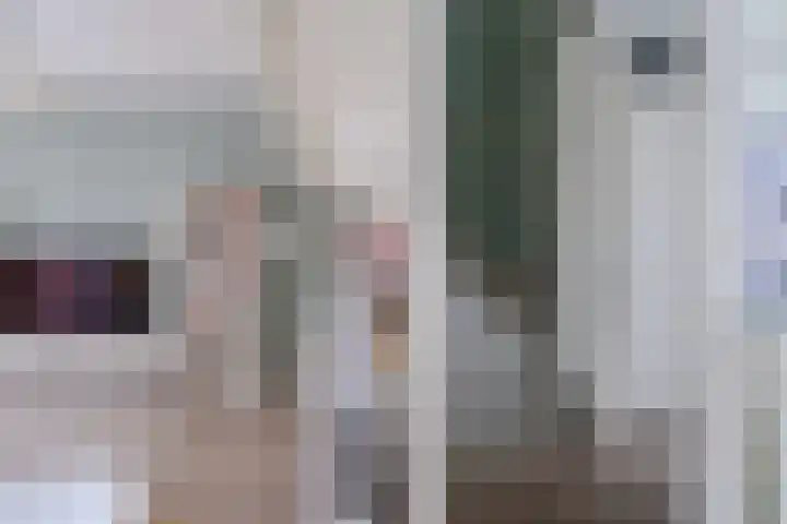 Witte Ring 44 Assendelft thumbnail 17