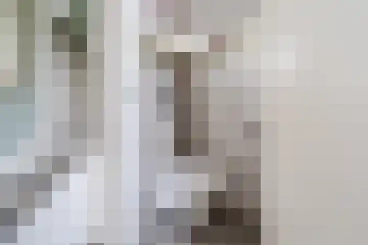Witte Ring 44 Assendelft thumbnail 18
