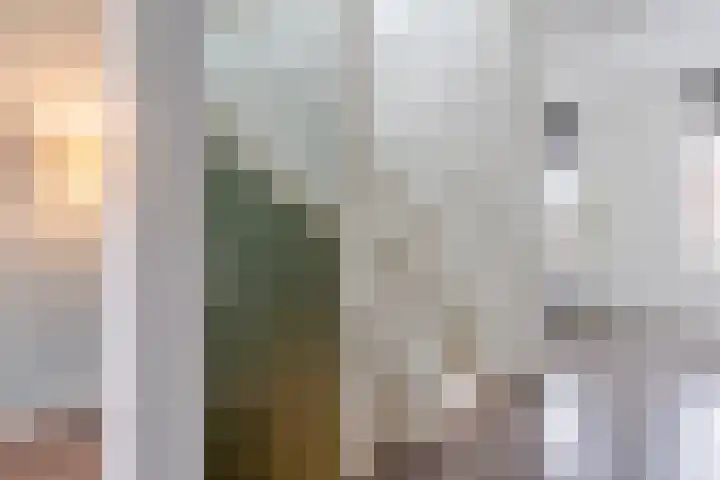Witte Ring 44 Assendelft thumbnail 19
