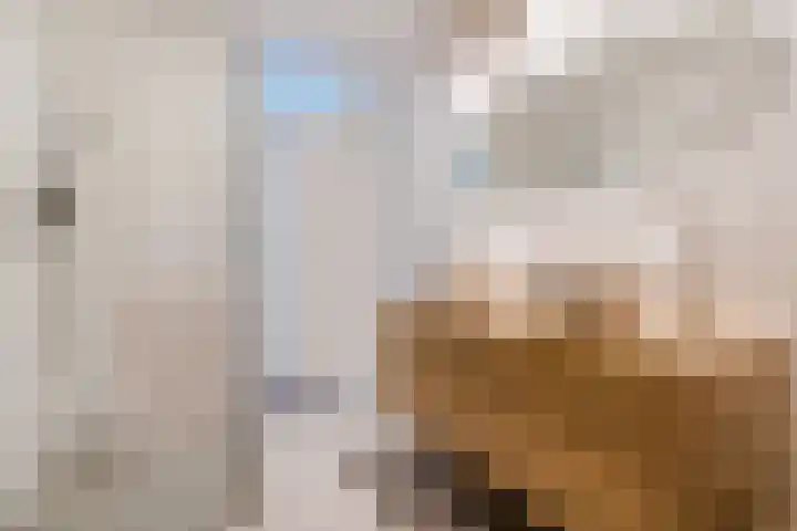 Witte Ring 44 Assendelft thumbnail 30