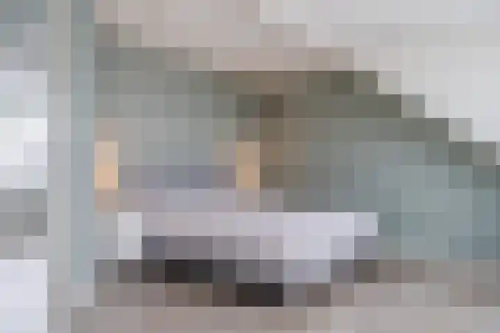 Witte Ring 44 Assendelft thumbnail 36