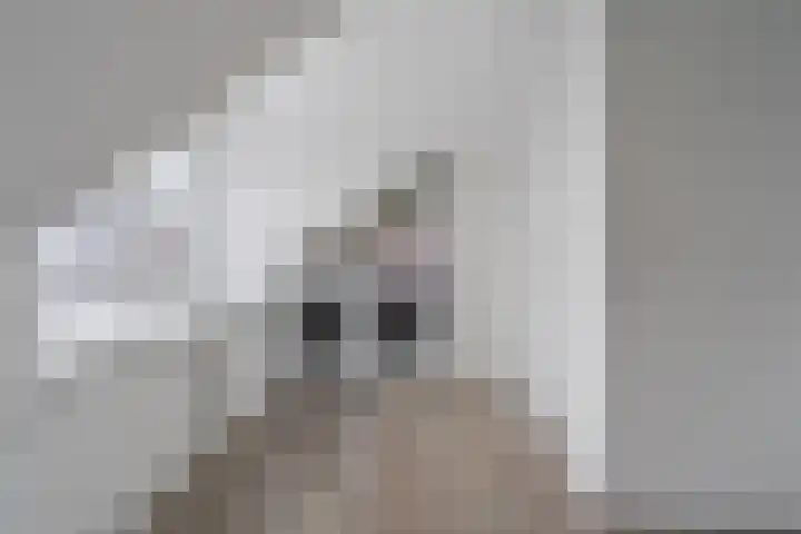 Witte Ring 44 Assendelft thumbnail 38