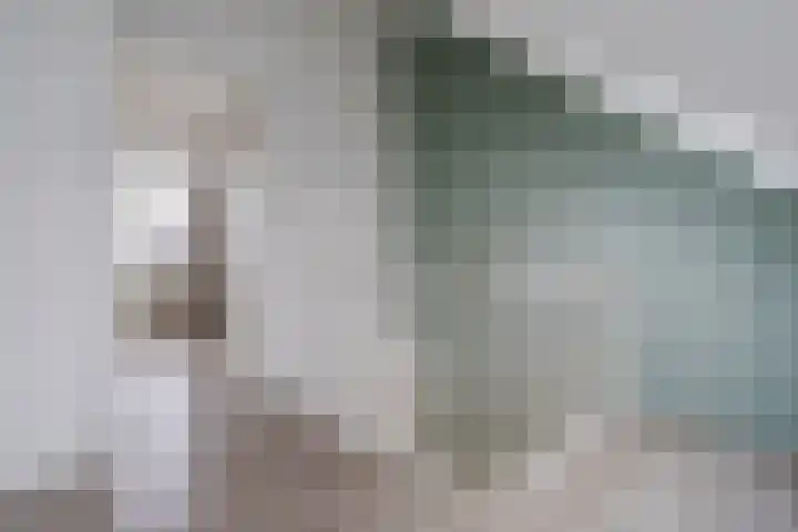 Witte Ring 44 Assendelft thumbnail 39
