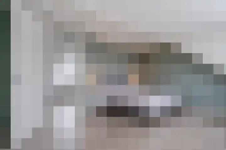Witte Ring 44 Assendelft thumbnail 4