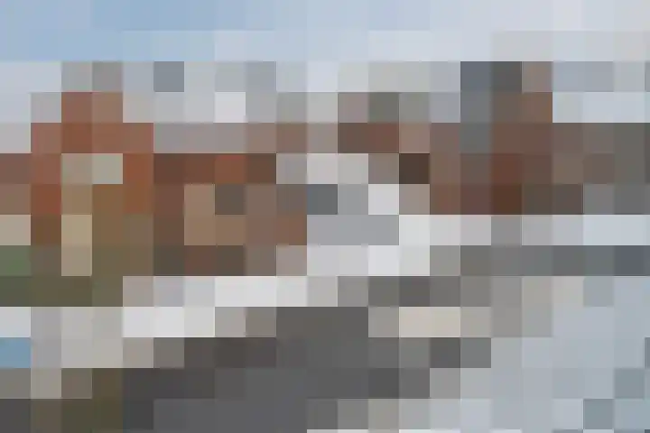 Witte Ring 44 Assendelft thumbnail 44