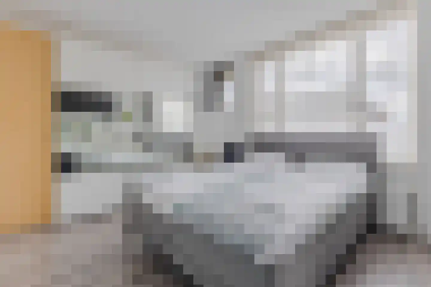 Witte Ring 55 Assendelft thumbnail 15