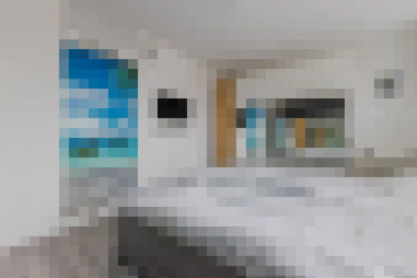 Witte Ring 55 Assendelft thumbnail 16