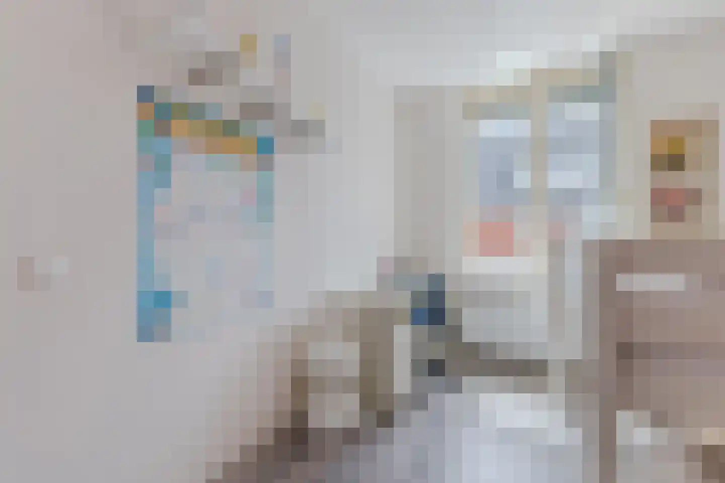 Witte Ring 55 Assendelft thumbnail 18