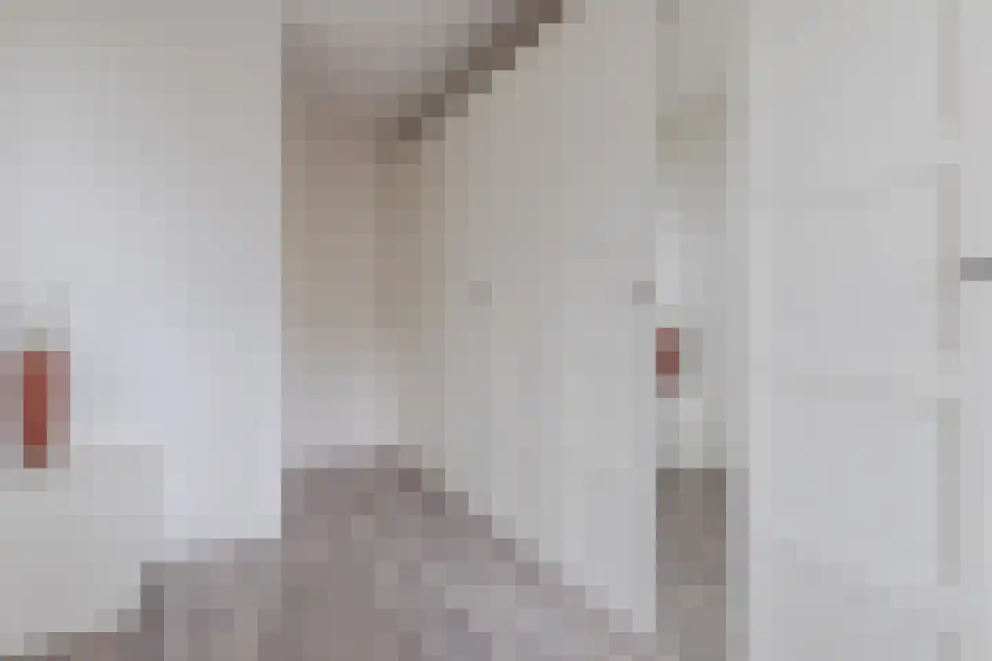Witte Ring 55 Assendelft thumbnail 21