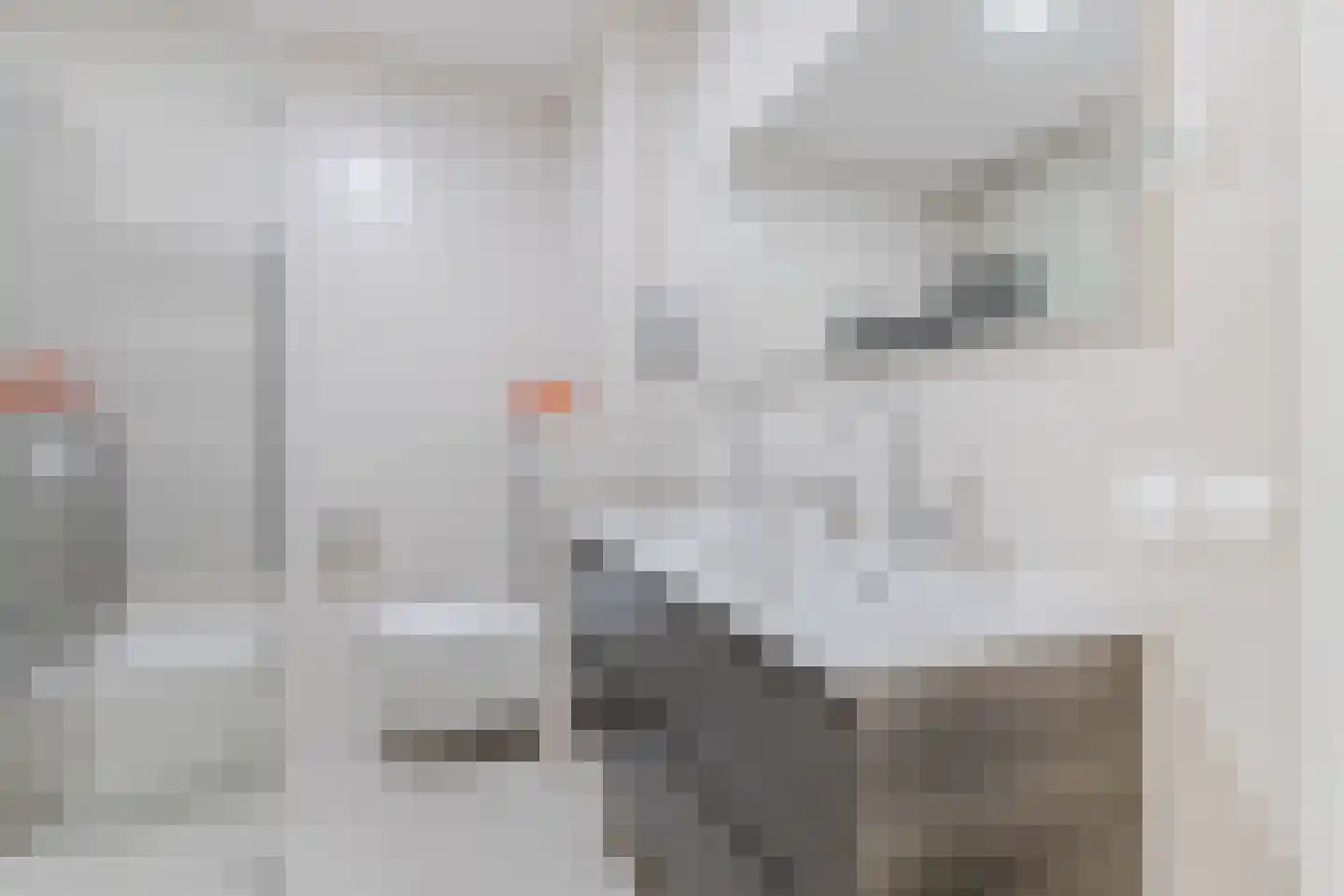 Witte Ring 55 Assendelft thumbnail 22