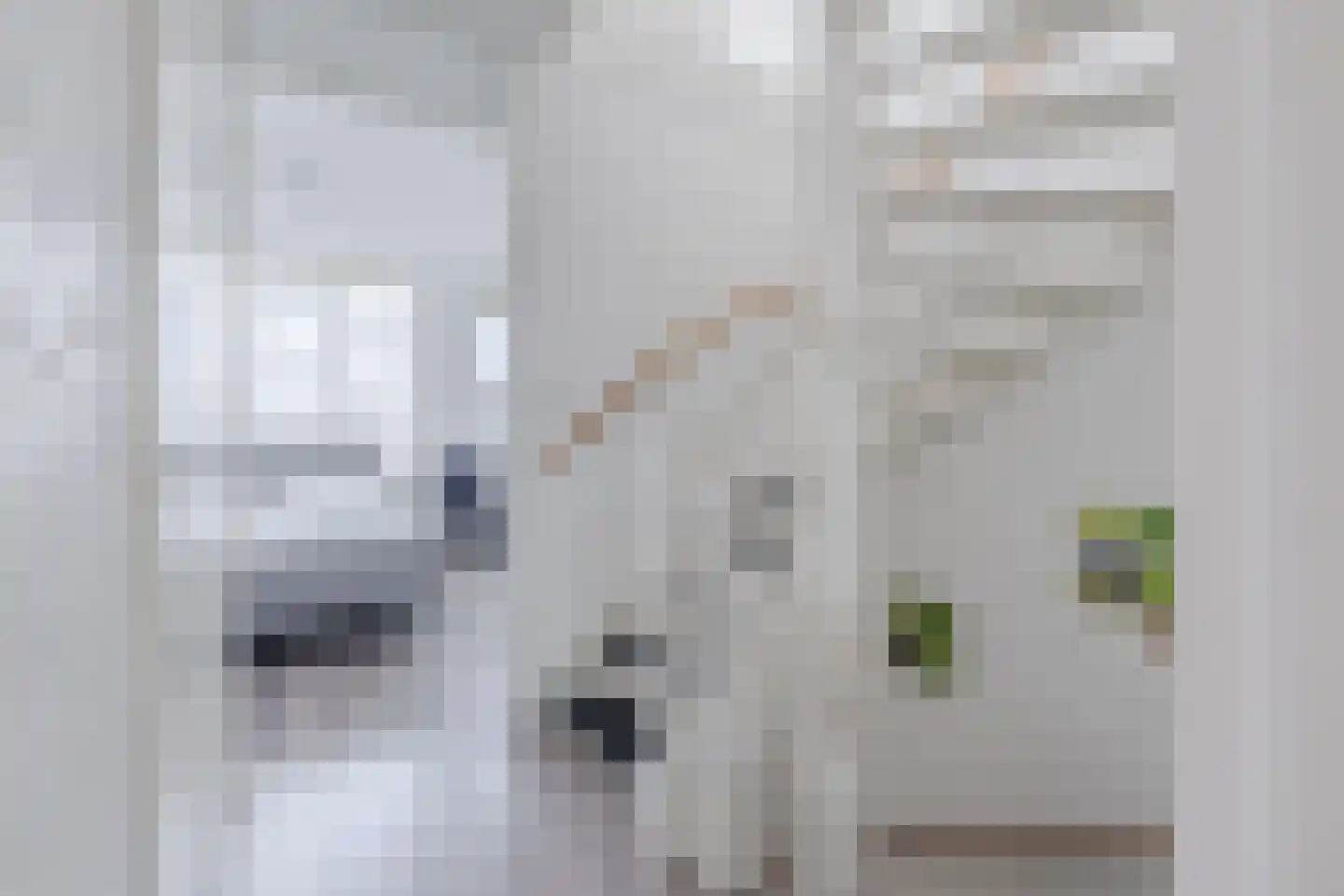 Witte Ring 55 Assendelft thumbnail 25