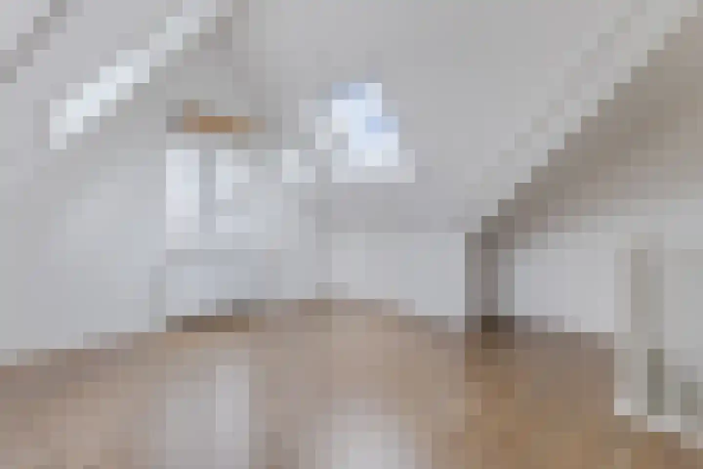 Witte Ring 55 Assendelft thumbnail 31
