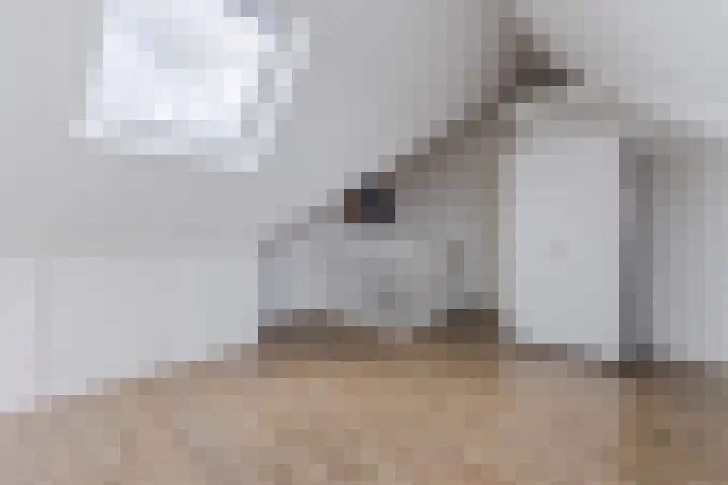 Witte Ring 55 Assendelft thumbnail 32