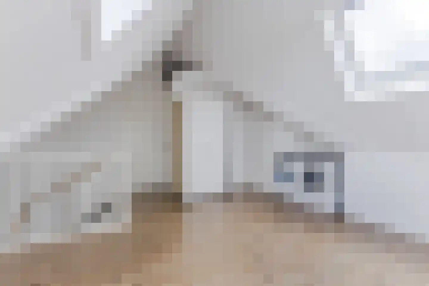 Witte Ring 55 Assendelft thumbnail 33