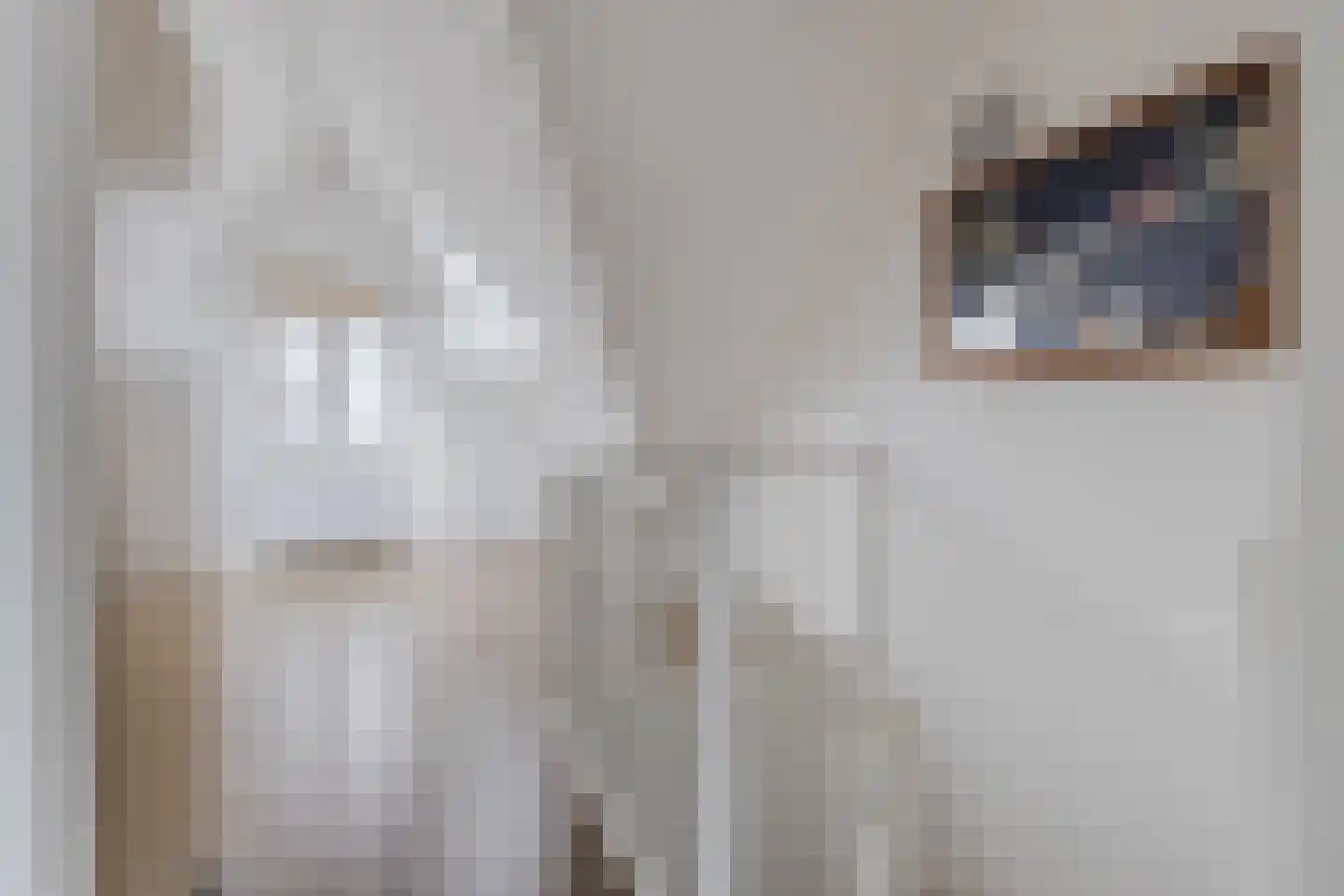 Witte Ring 55 Assendelft thumbnail 34
