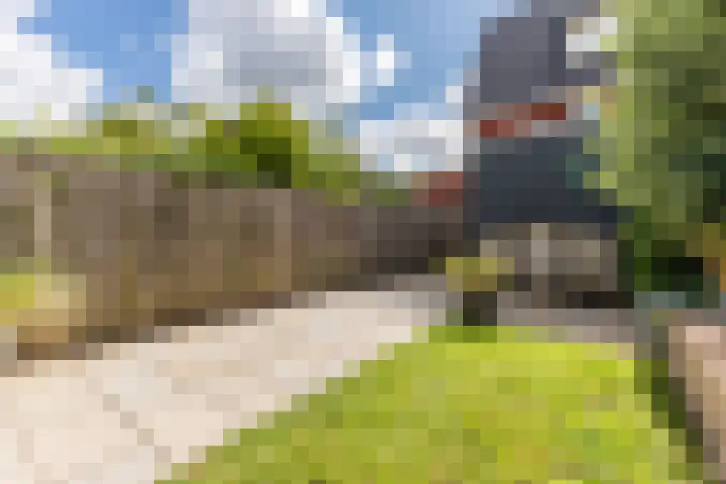 Witte Ring 55 Assendelft thumbnail 39
