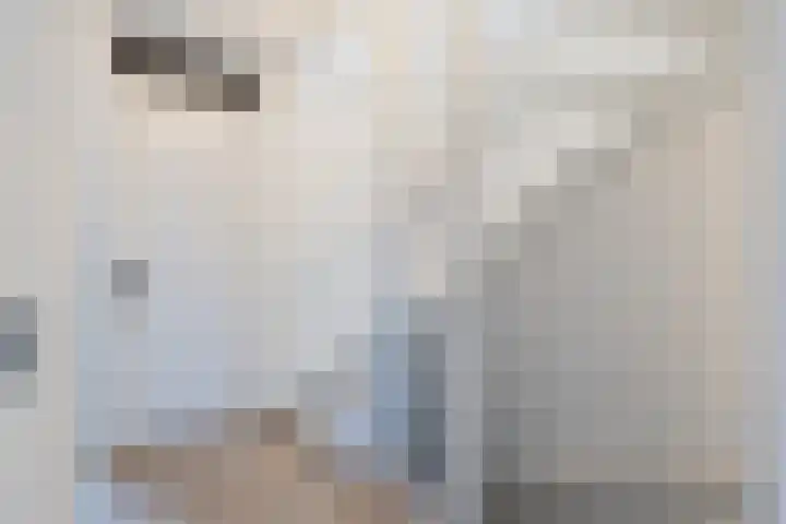 Witte Ring 60 Assendelft thumbnail 23