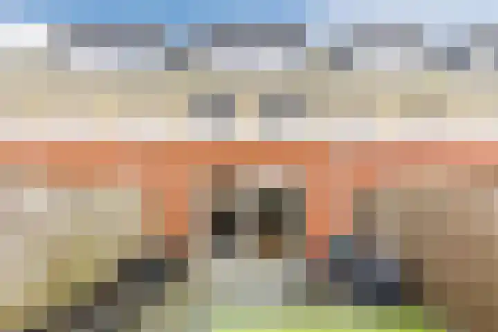 Witte Ring 60 Assendelft foto 3