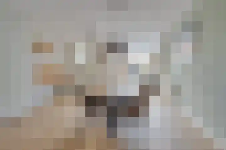 Witte Ring 60 Assendelft thumbnail 37