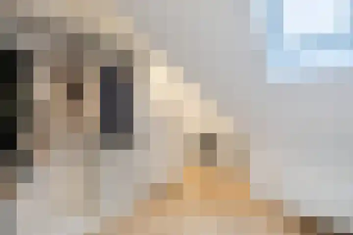 Witte Ring 60 Assendelft thumbnail 38