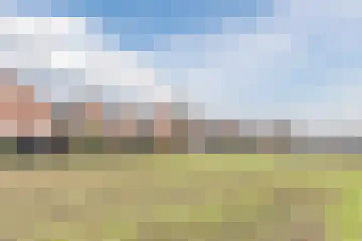 Witte Ring 60 Assendelft thumbnail 47