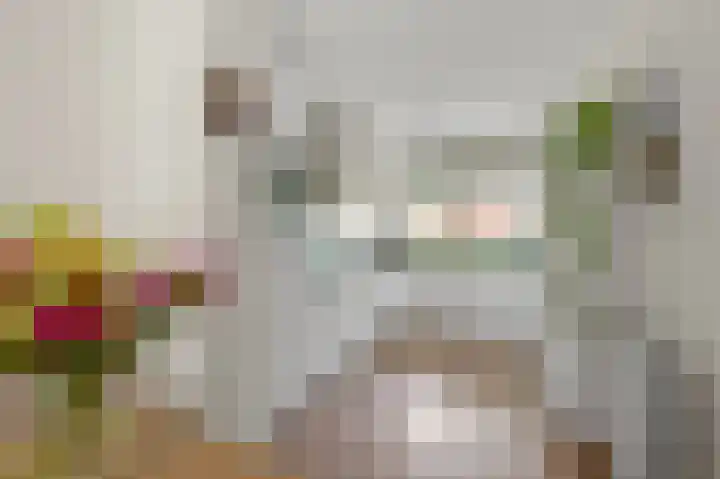Witte Ring 69 Assendelft thumbnail 15