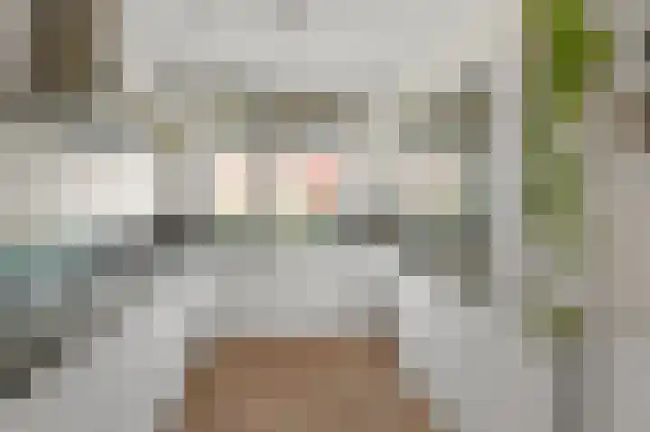 Witte Ring 69 Assendelft thumbnail 17