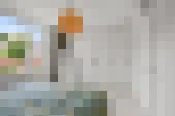 Witte Ring 69 Assendelft thumbnail 26