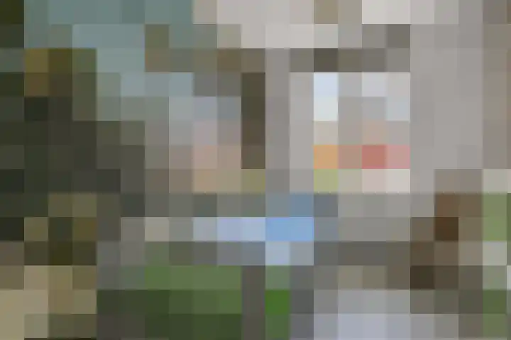 Witte Ring 69 Assendelft thumbnail 27