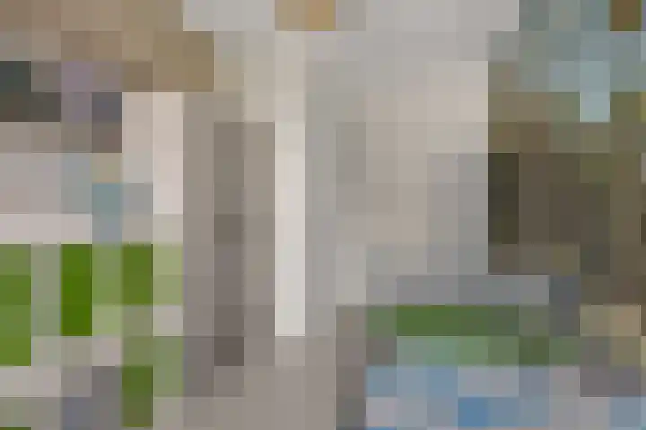 Witte Ring 69 Assendelft thumbnail 28