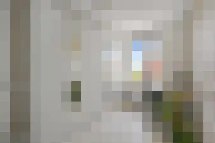 Witte Ring 69 Assendelft thumbnail 29