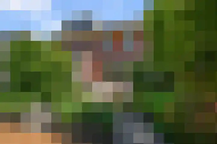 Witte Ring 69 Assendelft thumbnail 4