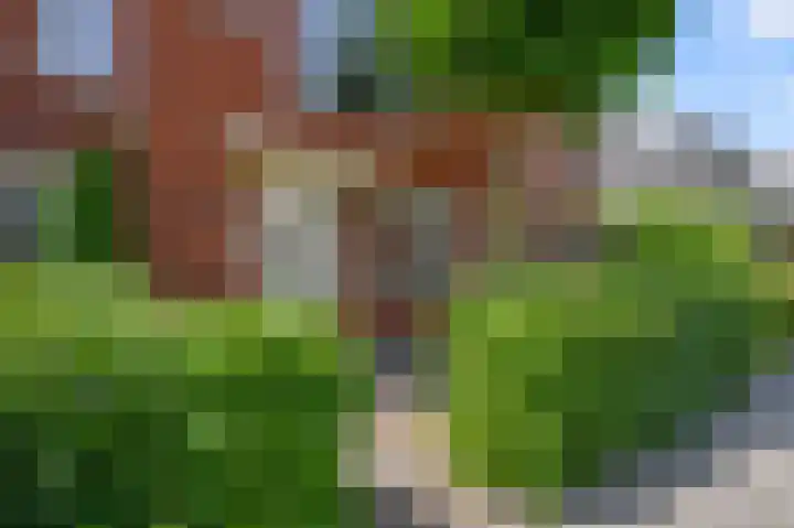 Witte Ring 69 Assendelft thumbnail 6