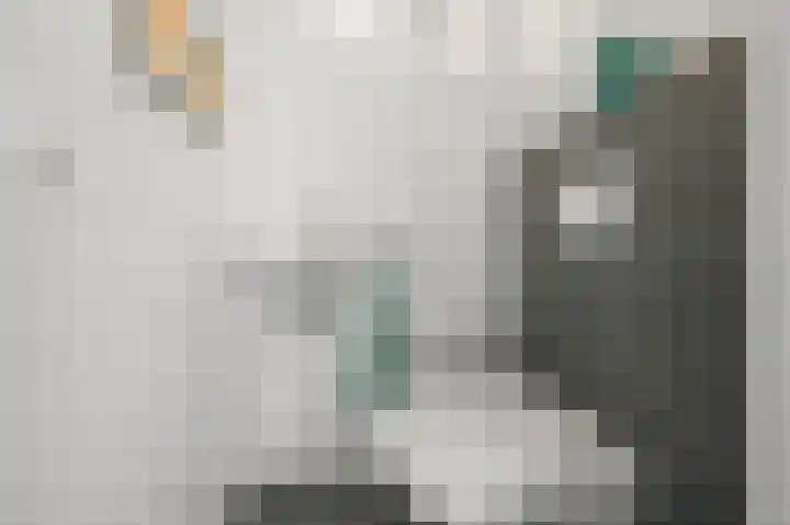 Witte Ring 69 Assendelft thumbnail 9