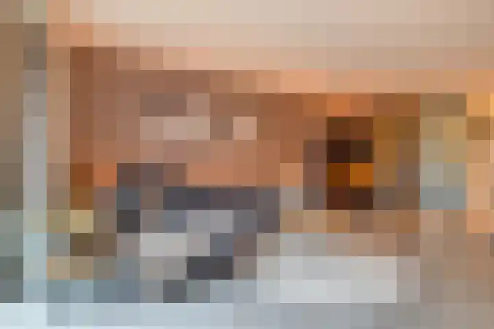 Witte Ring 80 Assendelft thumbnail 12