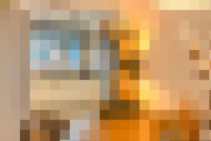 Witte Ring 80 Assendelft thumbnail 17