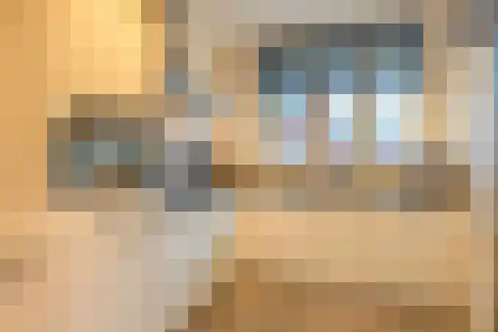 Witte Ring 80 Assendelft thumbnail 19