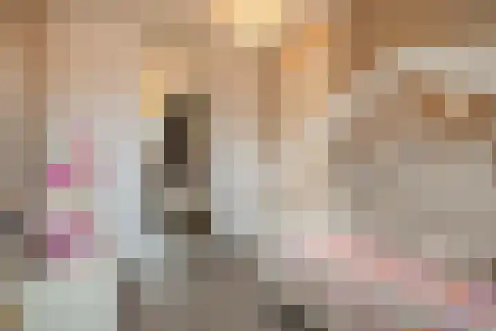 Witte Ring 80 Assendelft thumbnail 29
