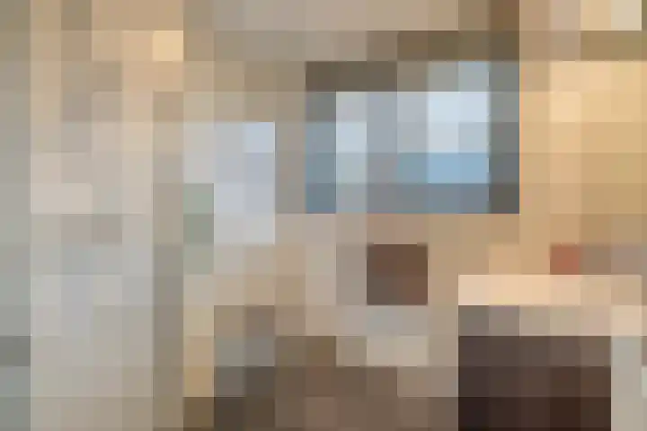 Witte Ring 80 Assendelft thumbnail 30
