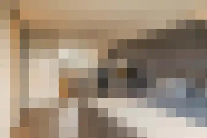 Witte Ring 80 Assendelft thumbnail 33